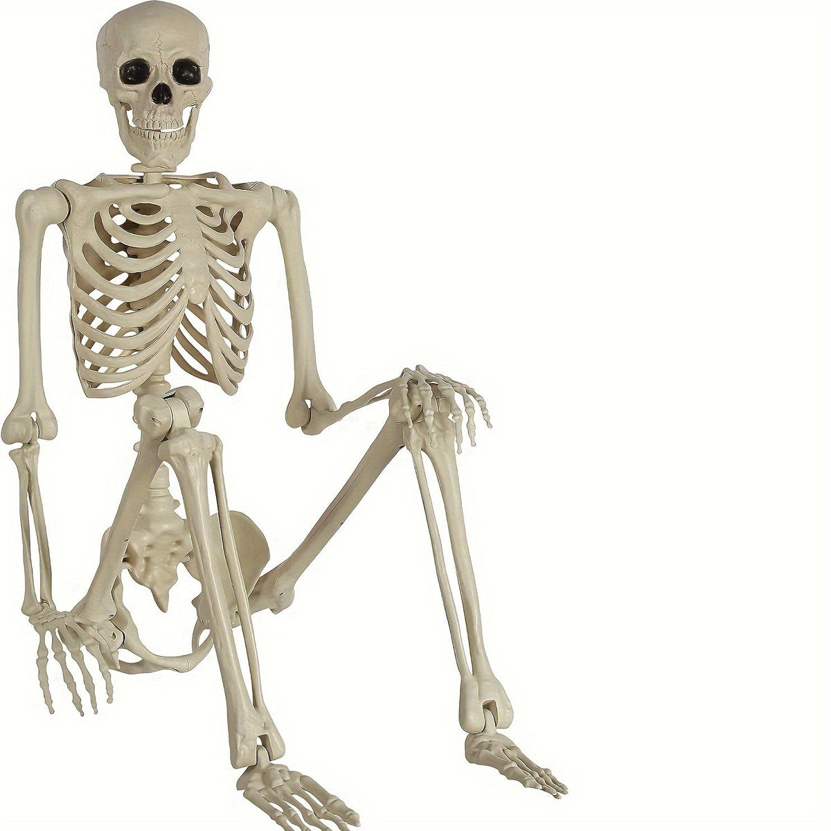 Trendbay 5.4FT Life-Size Human Skeleton Decoration – Adjustable