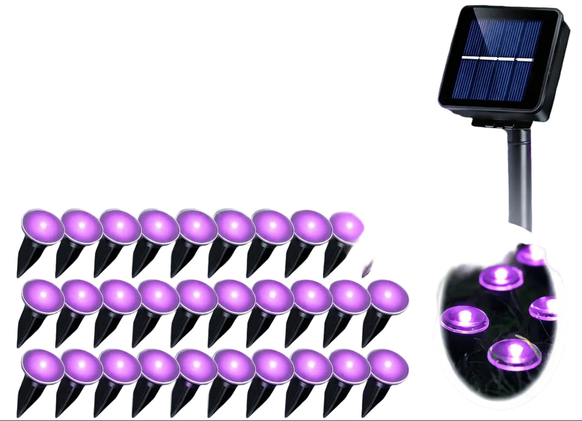 Trendbay Purple 30-LED Solar Garden Stake Lights – IP66 & 8 Modes