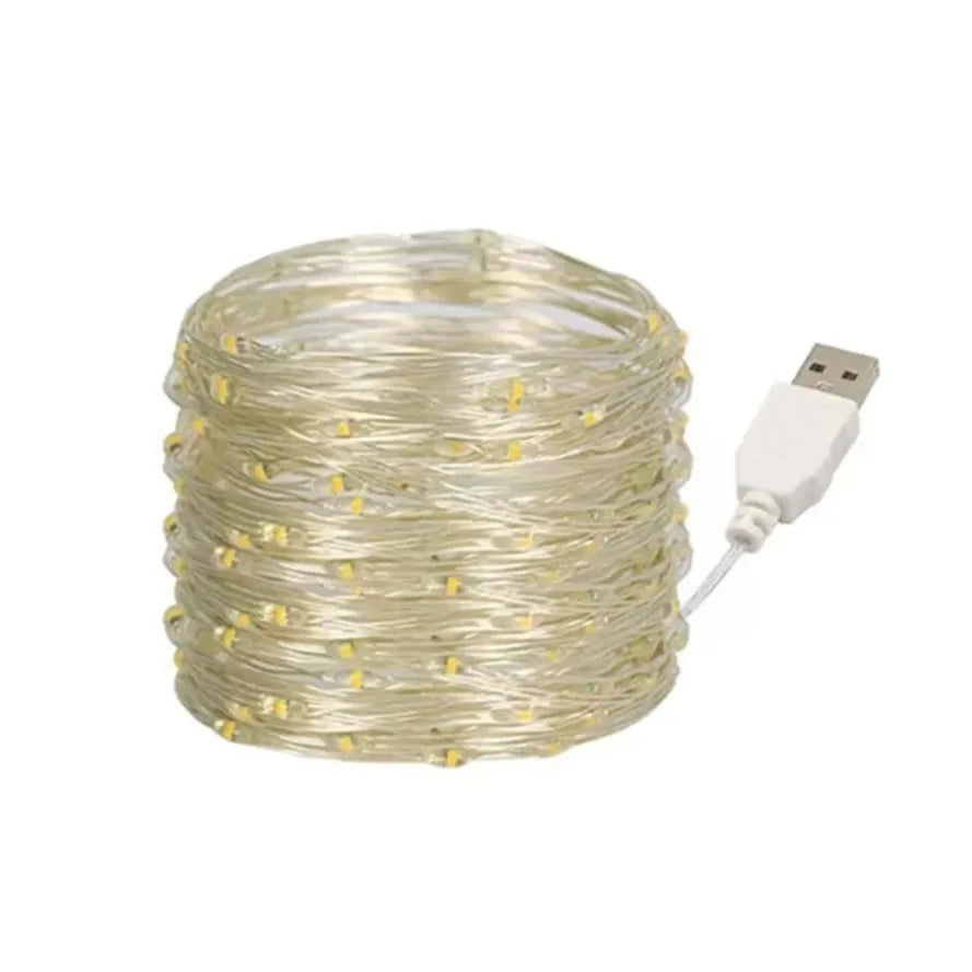 Trendbay 10M USB LED Copper Wire Fairy String Lights – Warm White