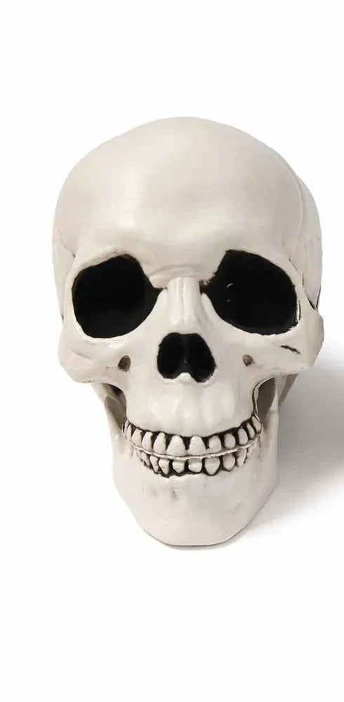 Trendbay 20cm Realistic Plastic Halloween Skull Decoration