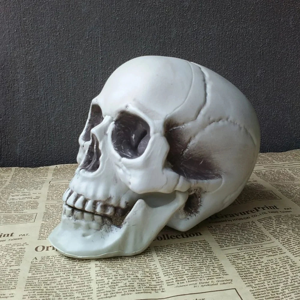 Trendbay 20cm Realistic Plastic Halloween Skull Decoration