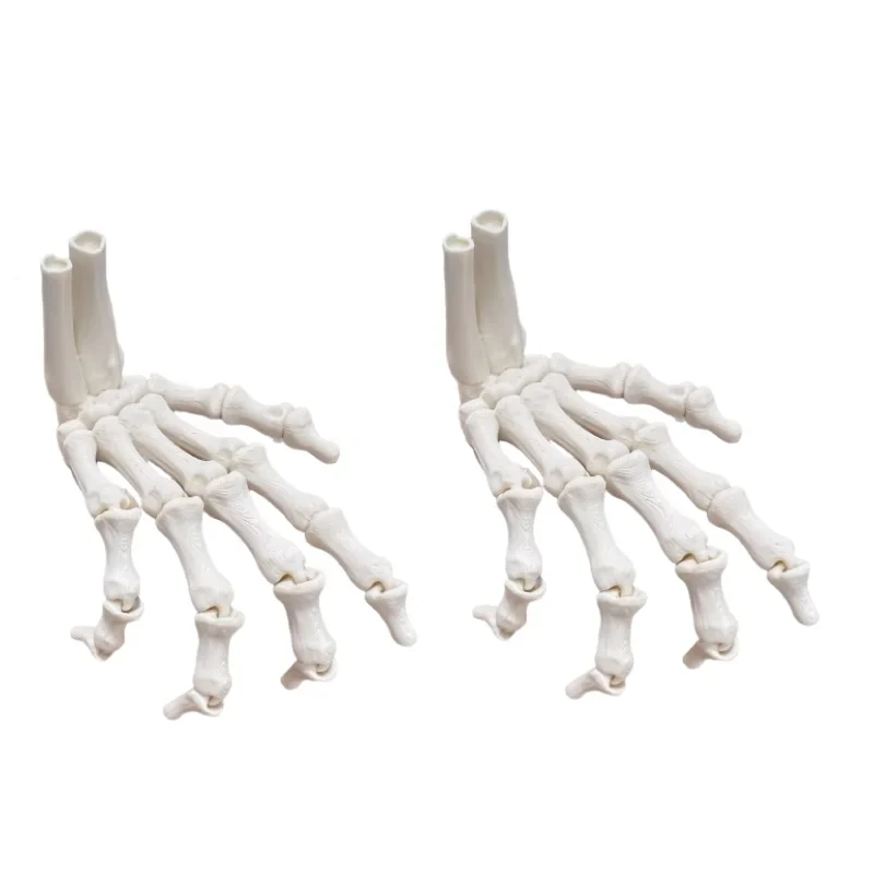 Trendbay 3D Printed Hand Bone Ornaments 9.3CM 2pc set