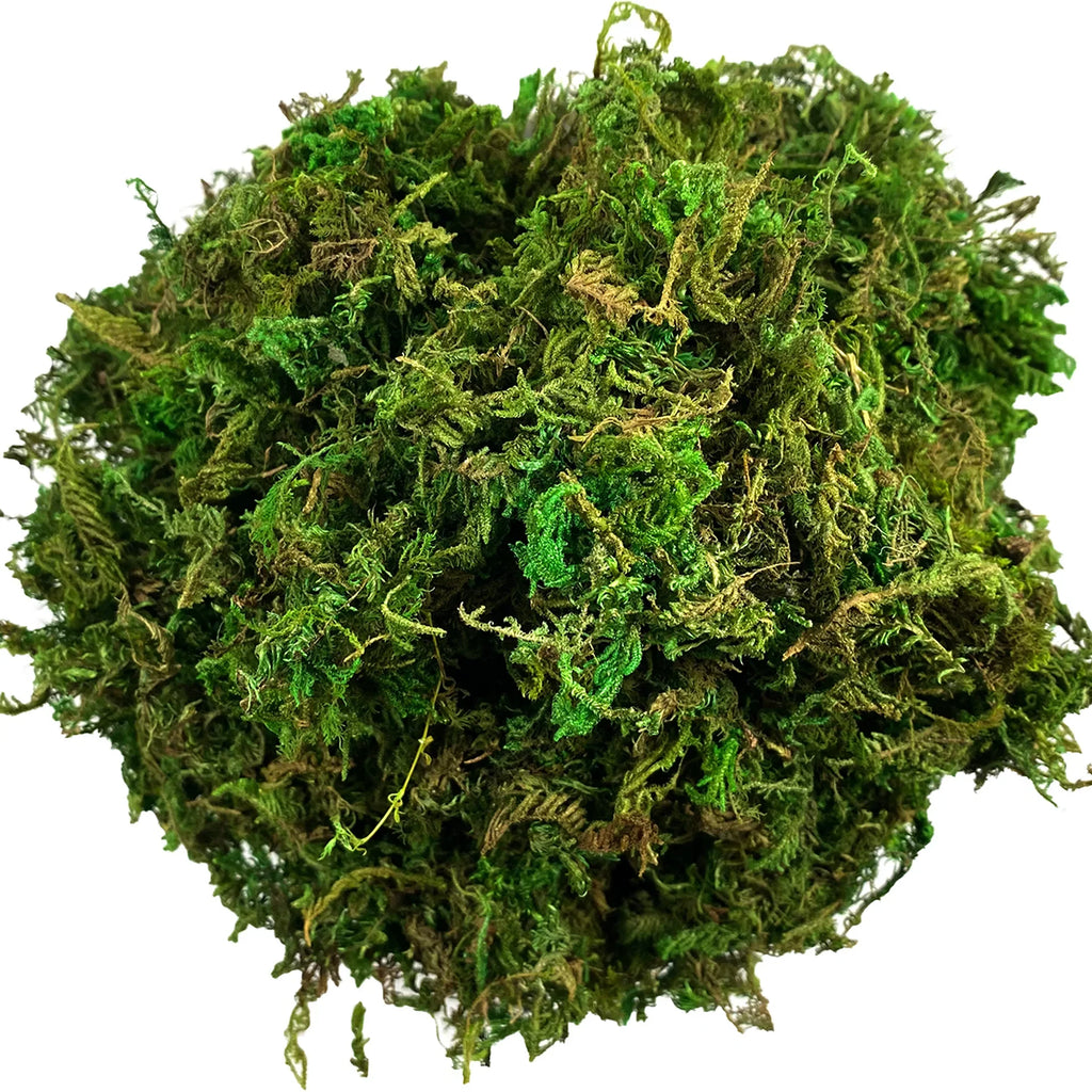 Trendbay 10G Artificial Moss Green Decorative Faux Moss for Potted Plants