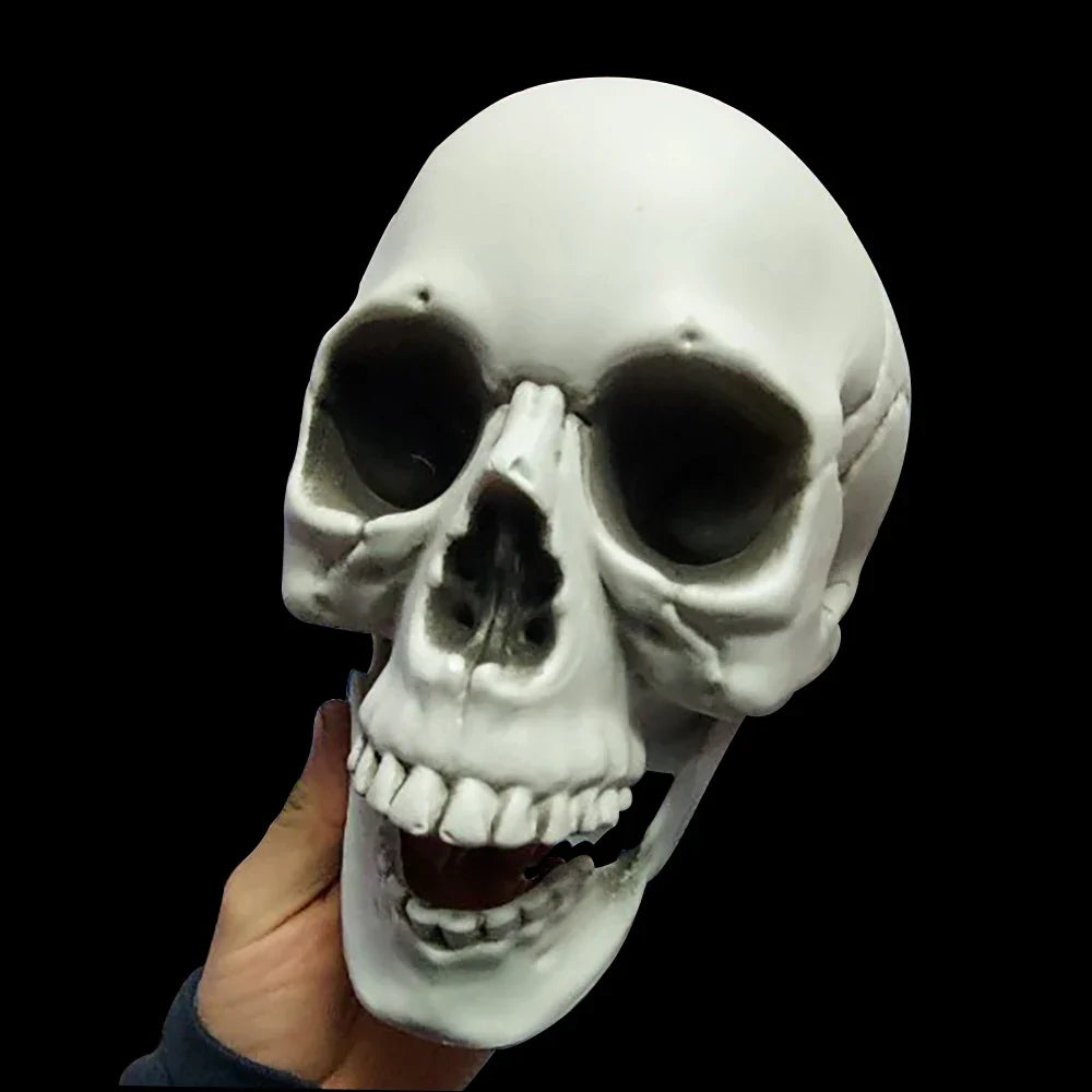Trendbay 20cm Realistic Plastic Halloween Skull Decoration