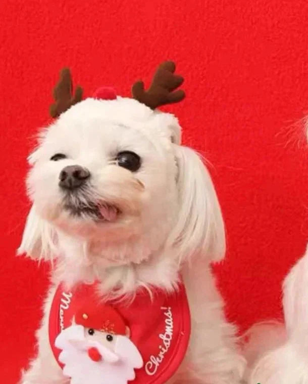Trendbay Christmas Pet Santa & Reindeer Hat with Bandana Bib Scarf
