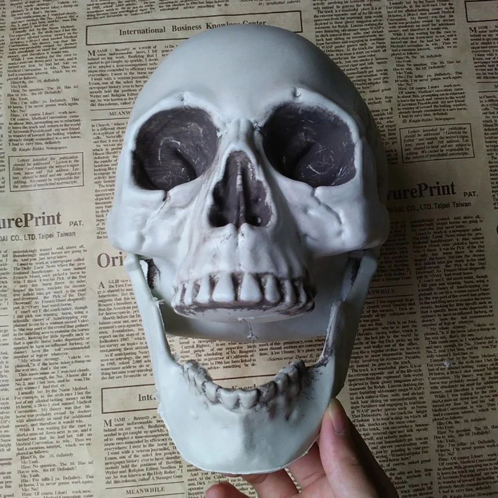 Trendbay 20cm Realistic Plastic Halloween Skull Decoration