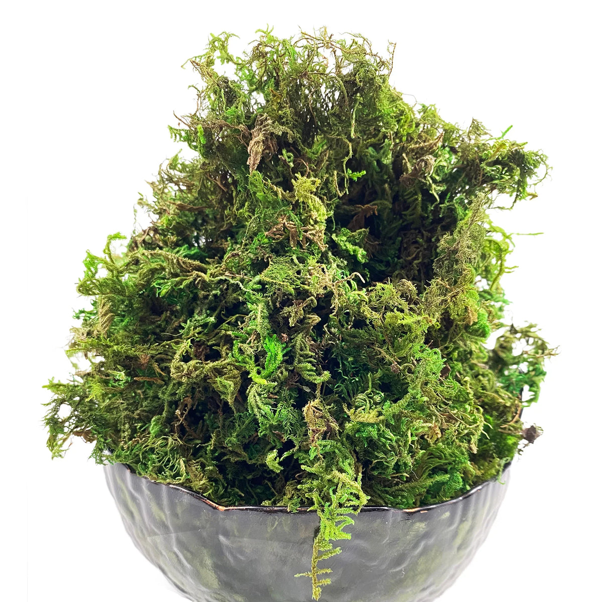 Trendbay 10G Artificial Moss Green Decorative Faux Moss for Potted Plants