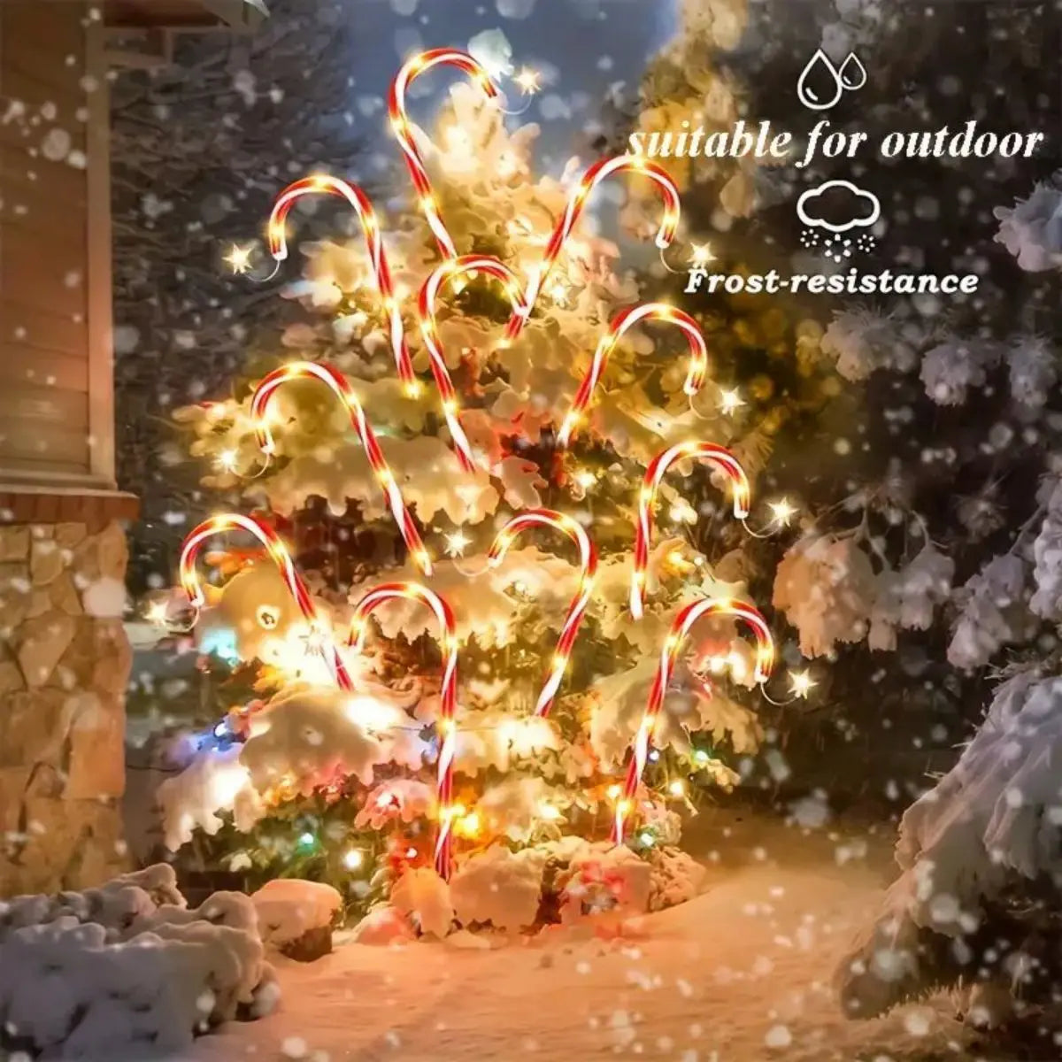 Trendbay 8PCS Solar Candy Cane Garden Lights