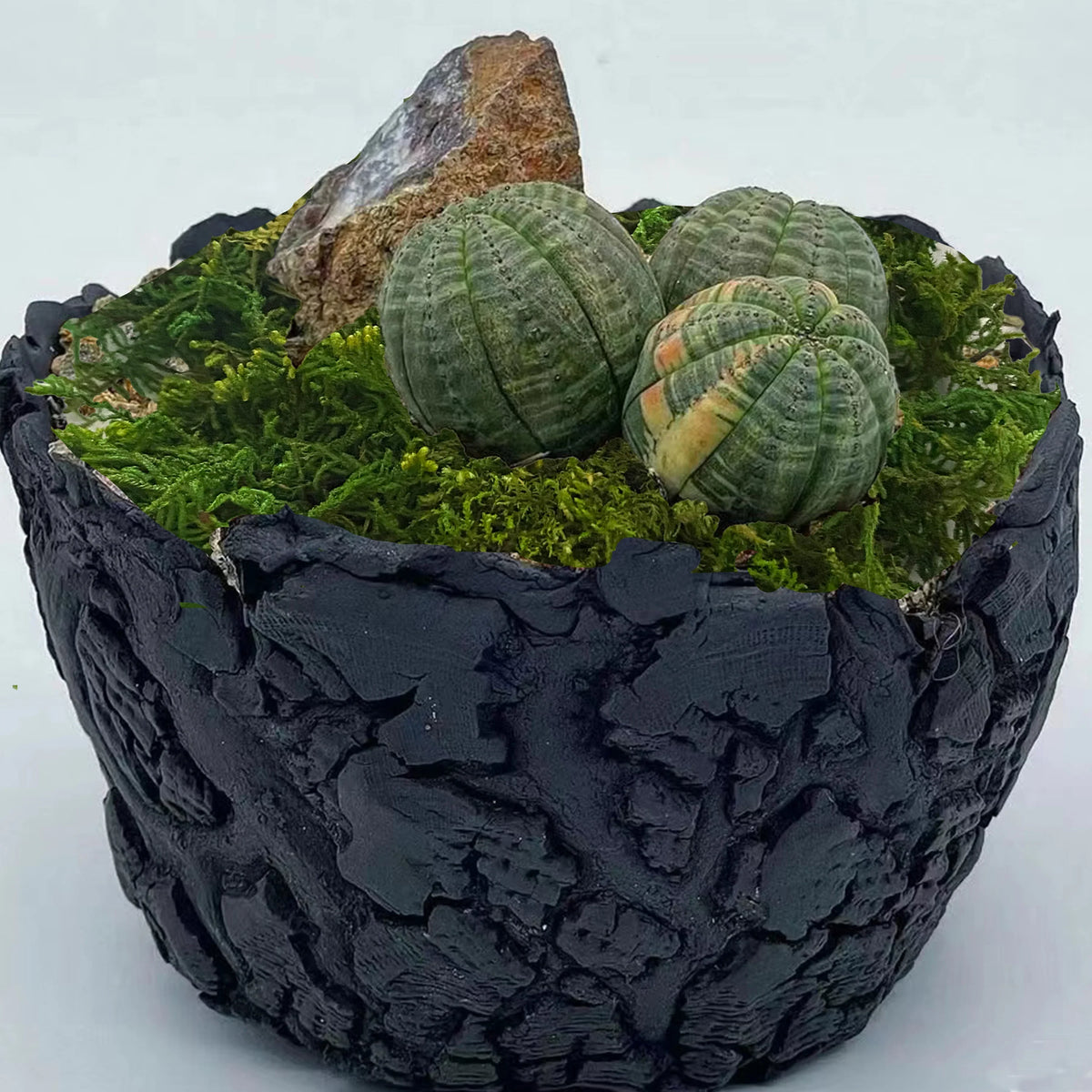 Trendbay 10G Artificial Moss Green Decorative Faux Moss for Potted Plants