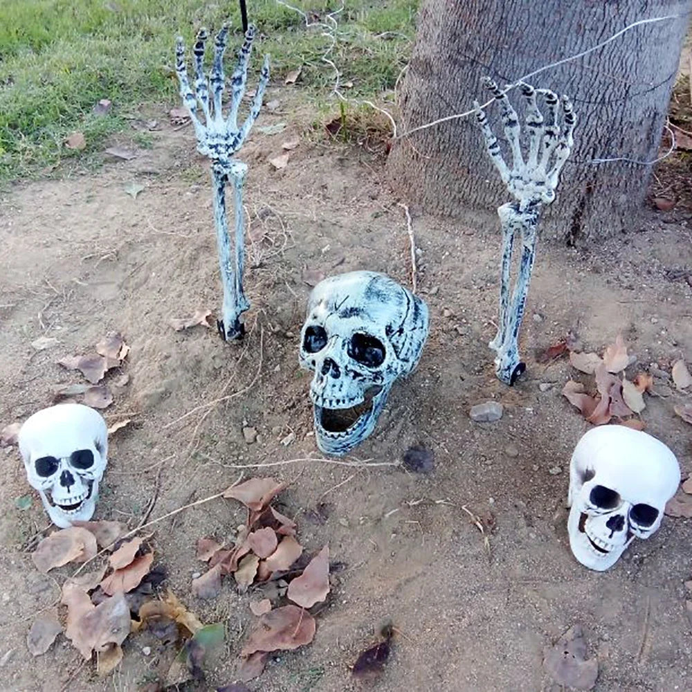 Trendbay 20cm Realistic Plastic Halloween Skull Decoration